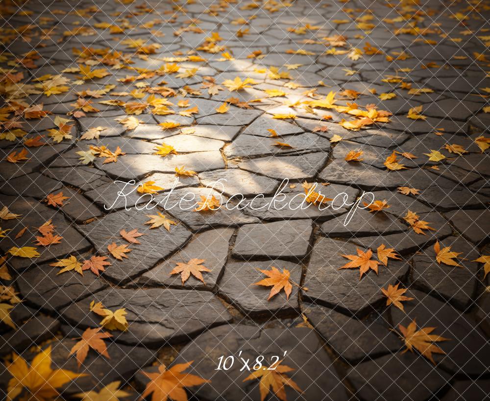 Kate Fall Leaves Stone Path Floor Backdrop Designed by Emetselch