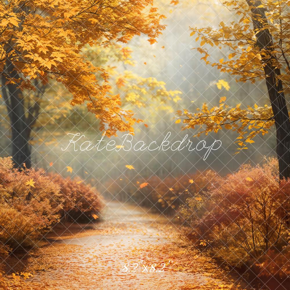 Fall Maple Forest Path Foto Achtergrond Designed by Chain Photography