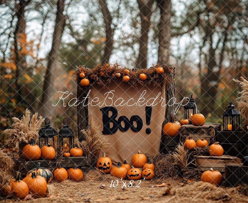 Boho Halloween Bos Pompoenen Foto Achtergrond Designed by Patty Roberts