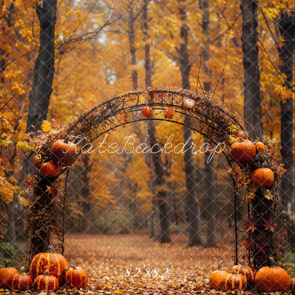 Kate Fall Pumpkin Arch Forest Backdrop Designed by Emetselch