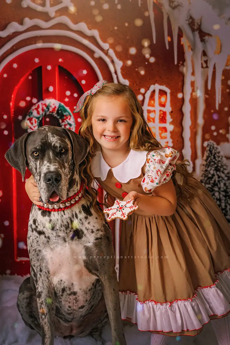 Kate Christmas Gingerbread Houses Snowy Backdrop Designed by Emetselch