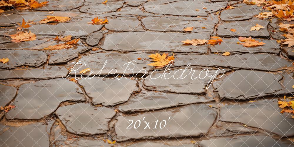 Kate Fall Leaves and Gray Cobblestone Road Floor Backdrop Designed by Emetselch