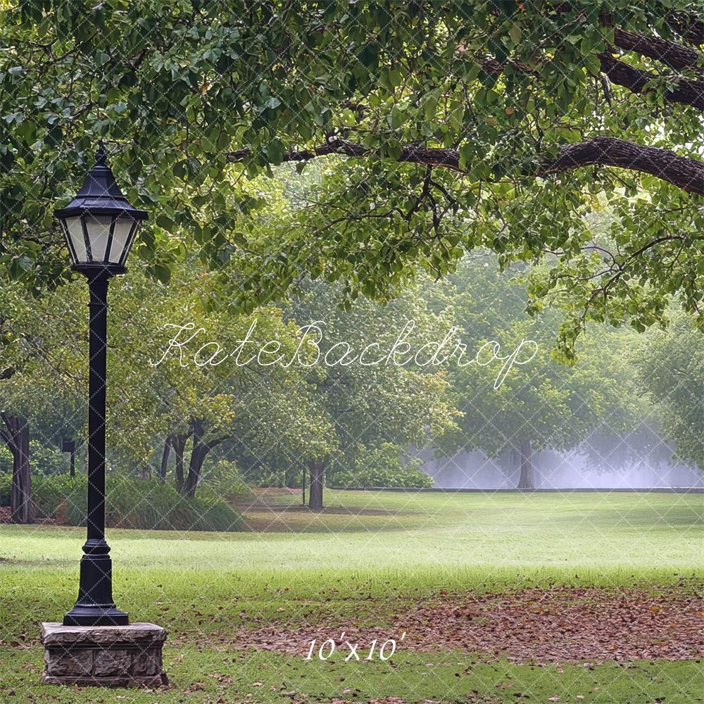 Kate Fine Art Park Fall Lamp Post Backdrop Designed by Mini MakeBelieve