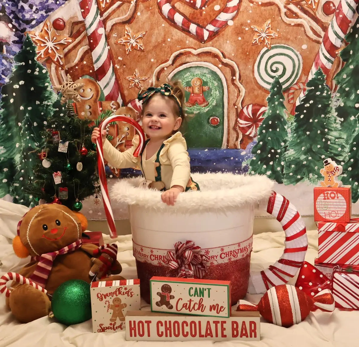 Kate Christmas Hot Cocoa Backdrop Outside Gingerbread House Designed by GQ