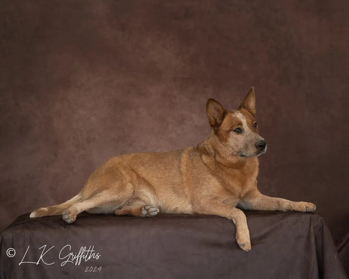 Kate Texture Abstract Fine Art Backdrop Designed by Kate Image