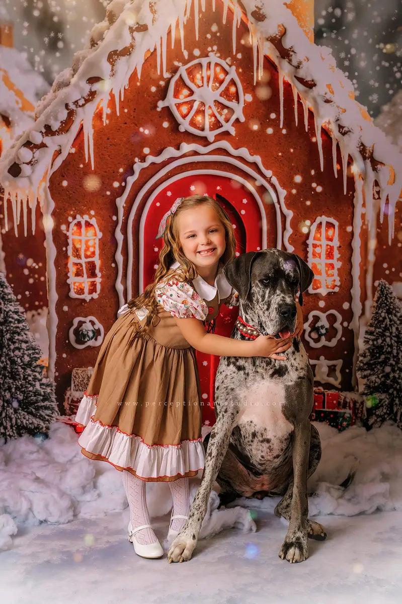 Kate Christmas Gingerbread Houses Snowy Backdrop Designed by Emetselch