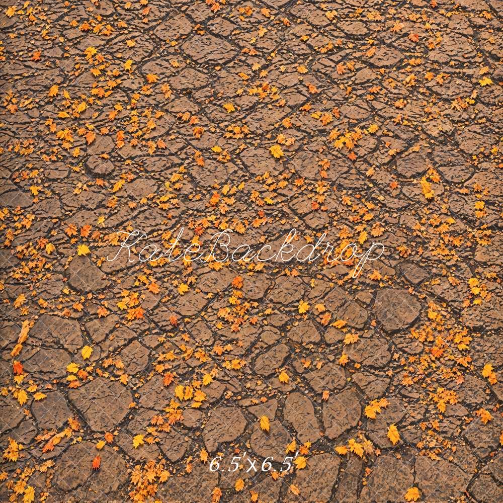 Fall Fallen Leaves On Ground Foto Achtergrond Designed by Emetselch