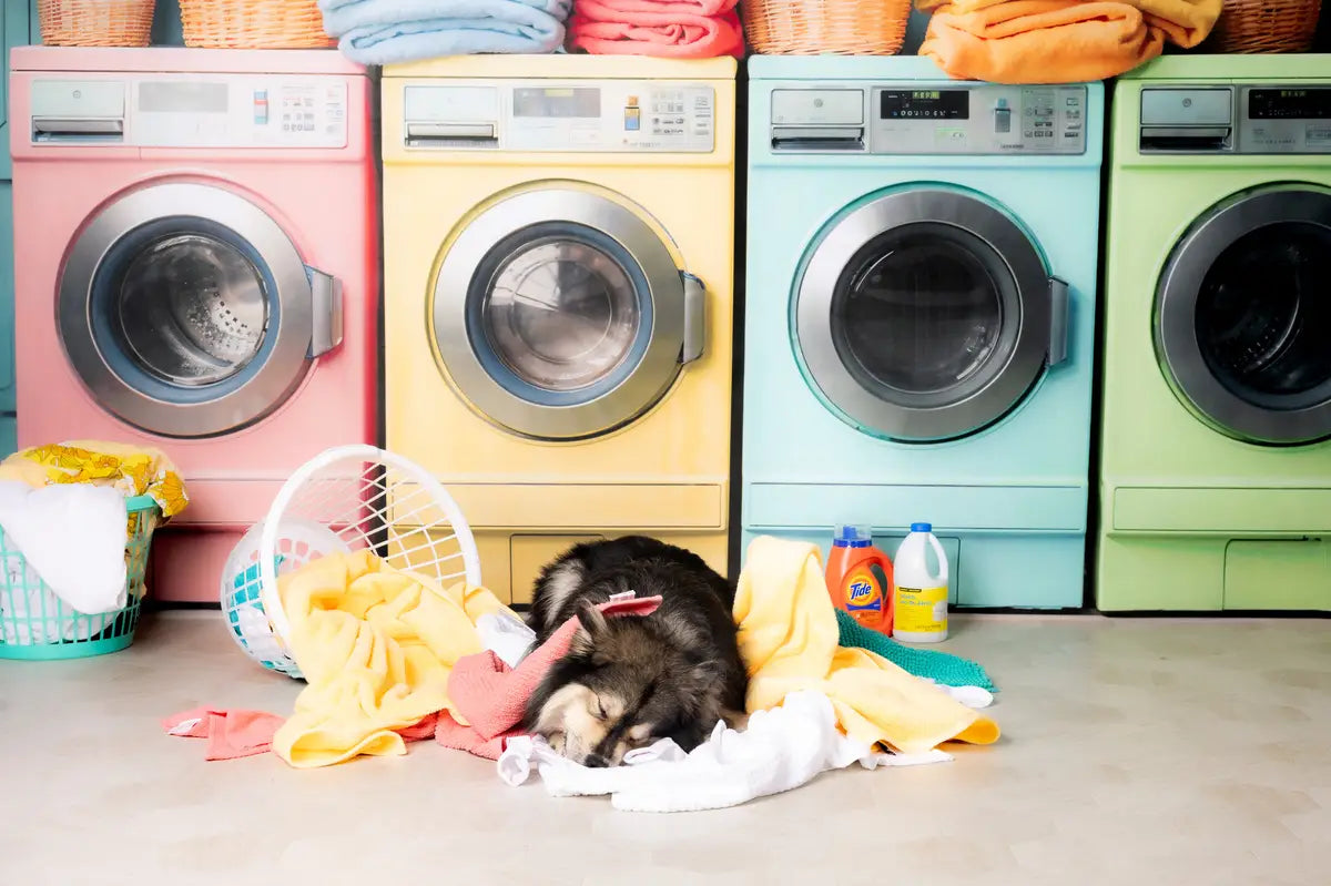 Wasdag Kleurrijke Wasmachine Voorjaarsfleecestof Achtergrond Ontworpen door Chain Photography