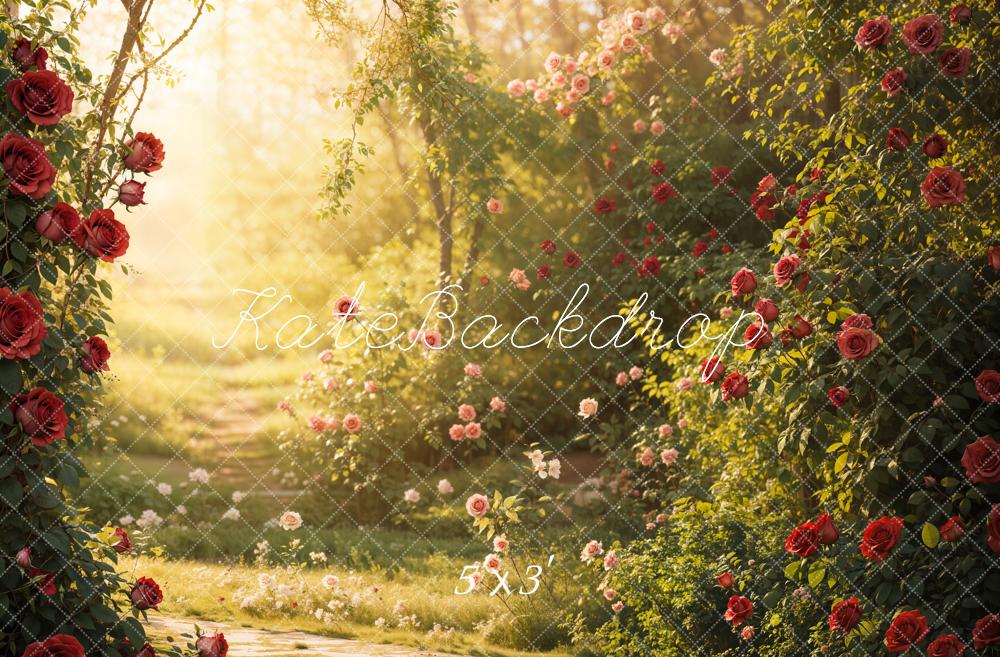 Valentine Garden Rose Sunlight Foto Achtergrond Designed by Emetselch