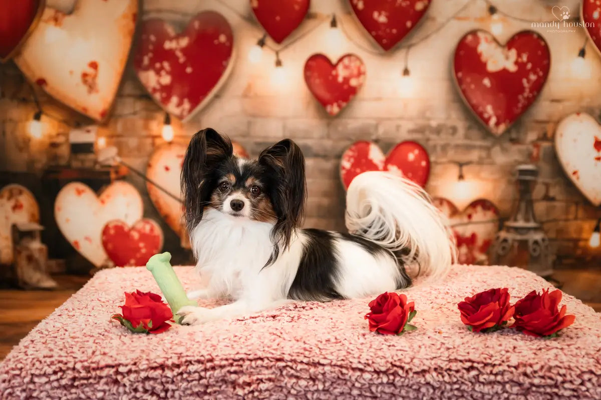 1,351,900+ Valentines Day Stock Photos, Pictures & Royalty-Free Images -  iStock