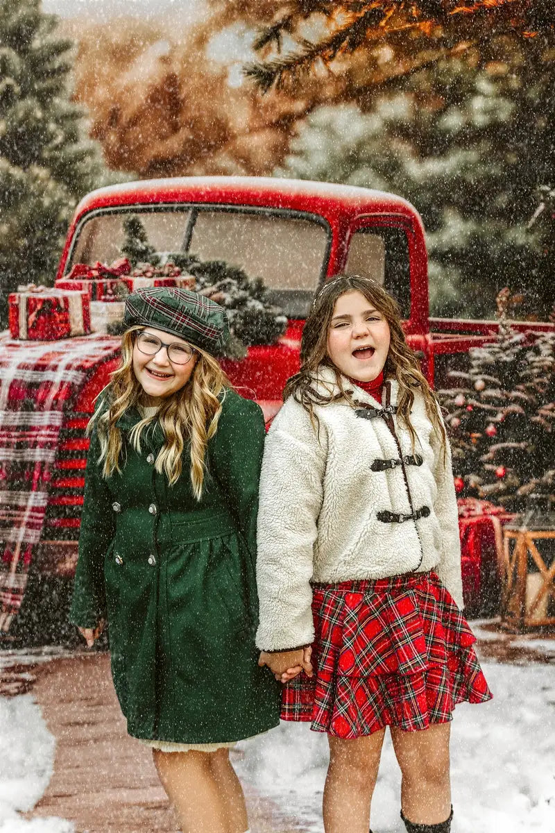 Kate Christmas Red Truck Plaid Forest Backdrop Designed by Emetselch