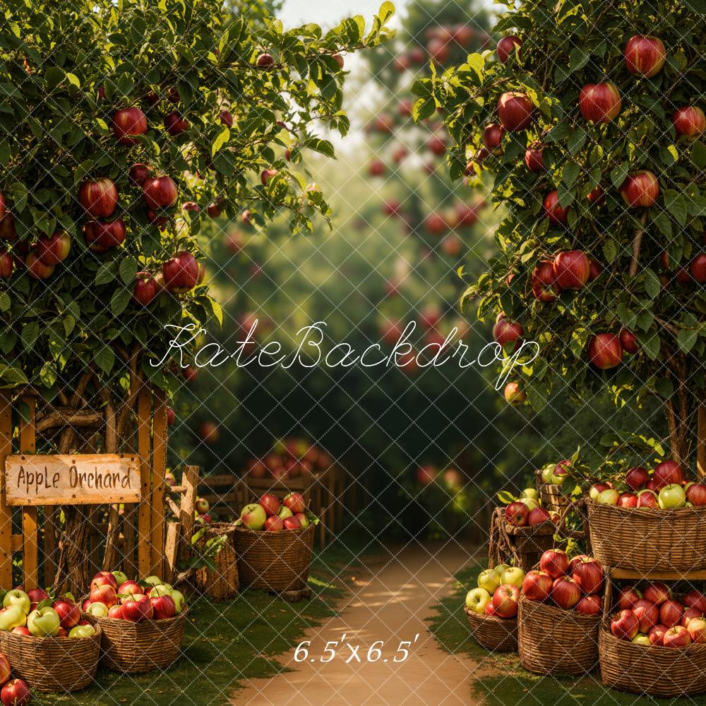 Fall Apple Orchard Foto Achtergrond Designed by Emetselch