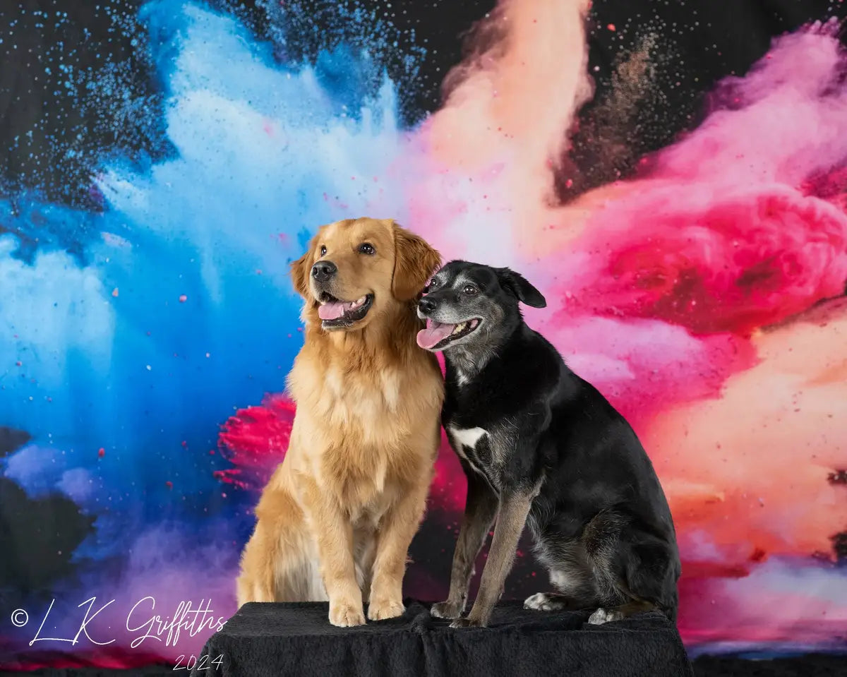 Cool Colorful Burst of Powder Black Wall Backdrop Ontworpen door Lidia Redekopp