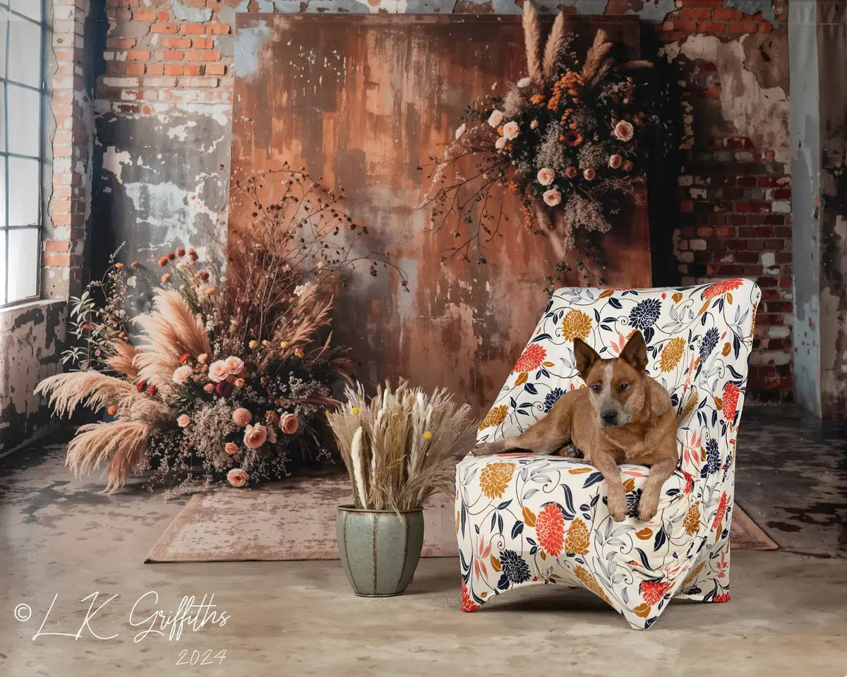 Boho Pet Dark Brown Indoor Reed Floral Old Brick Wall Backdrop Diseñado por Emetselch