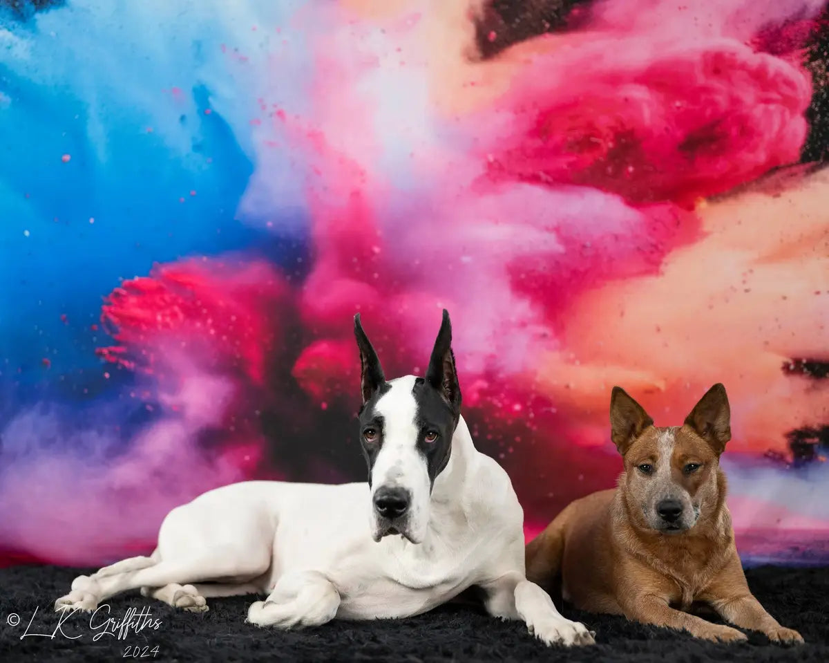 Cool Colorful Burst of Powder Black Wall Backdrop Ontworpen door Lidia Redekopp