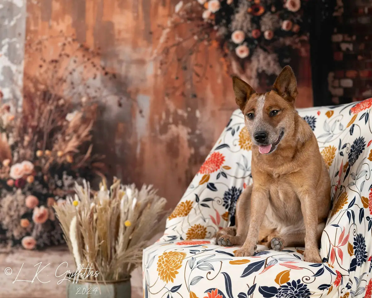 Boho Huisdier Donkerbruin Binnenriet Bloemen Oude Bakstenen Foto Achtergrond Ontworpen door Emetselch