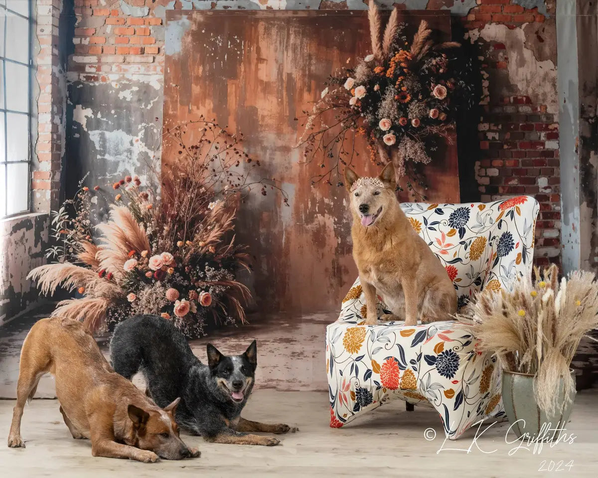 Boho Huisdier Donkerbruin Binnenriet Bloemen Oude Bakstenen Foto Achtergrond Ontworpen door Emetselch