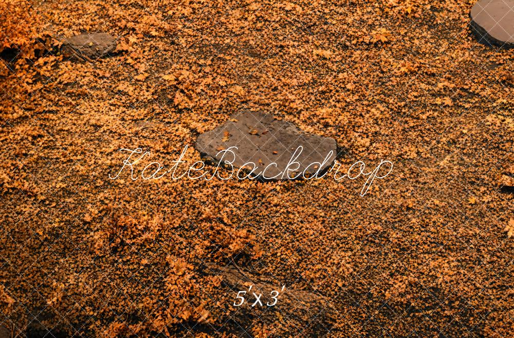 Sfondo del Pavimento Forestale d'Autunno Designed by Kate Image