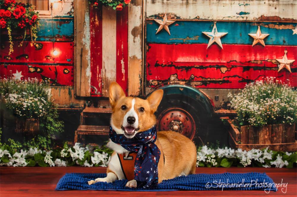 Kate Pet American Independence Day Forest Old RV Backdrop Designed by Emetselch