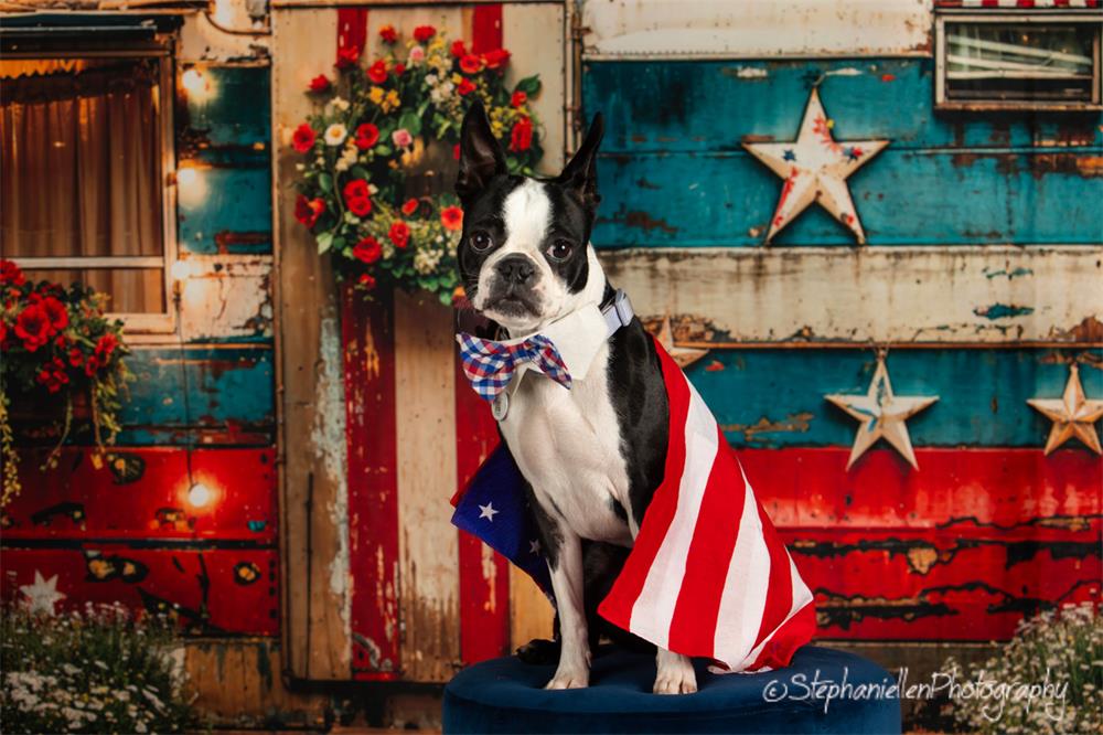 Kate Pet American Independence Day Forest Old RV Backdrop Designed by Emetselch