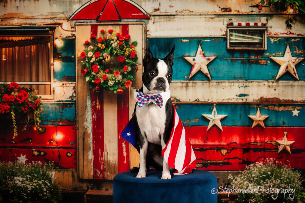 Kate Pet American Independence Day Forest Old RV Backdrop Designed by Emetselch