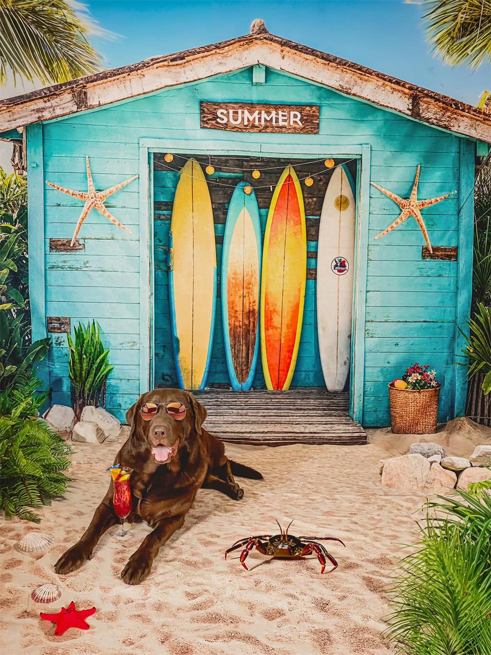 Zomer Zee Strand Blauw Houten Surfboard Winkel Foto Achtergrond Ontworpen door Chain Photography