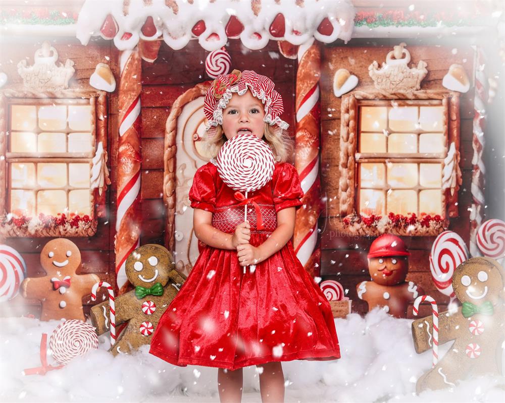 Kate Christmas Winter Gingerbread House Snow Backdrop Designed by Chain Photography