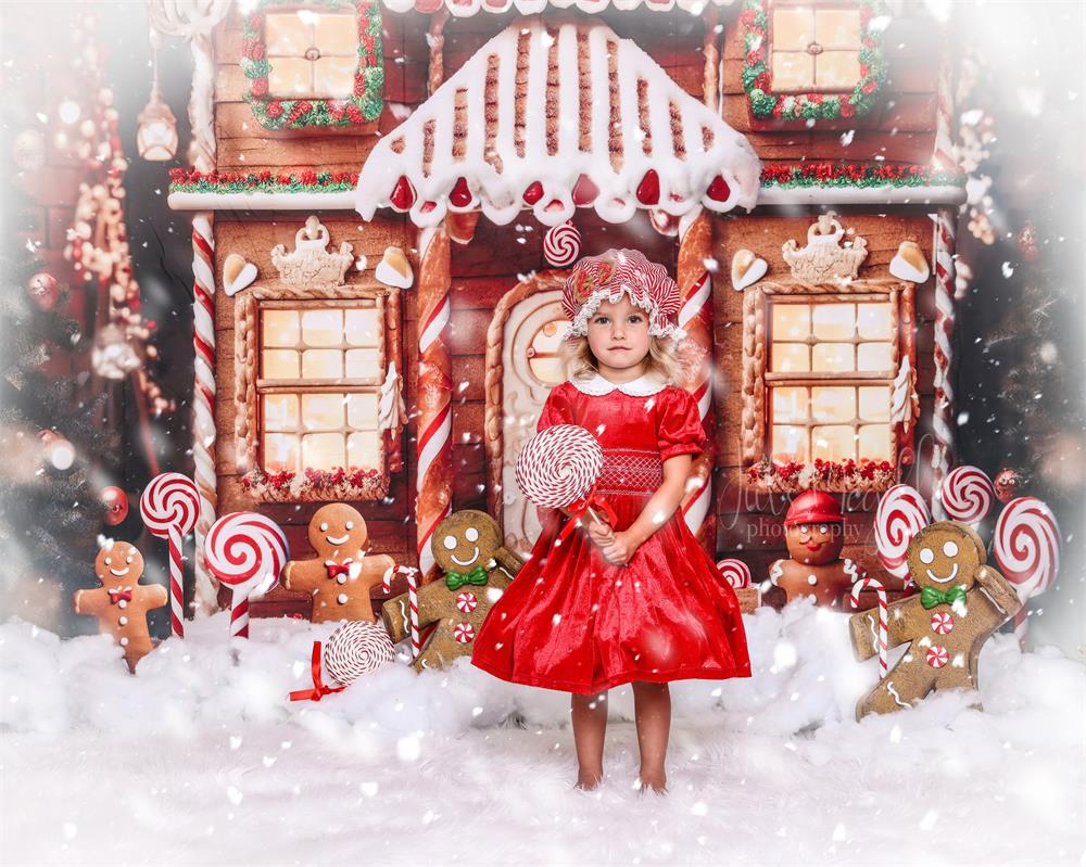 Kate Christmas Winter Gingerbread House Snow Backdrop Designed by Chain Photography