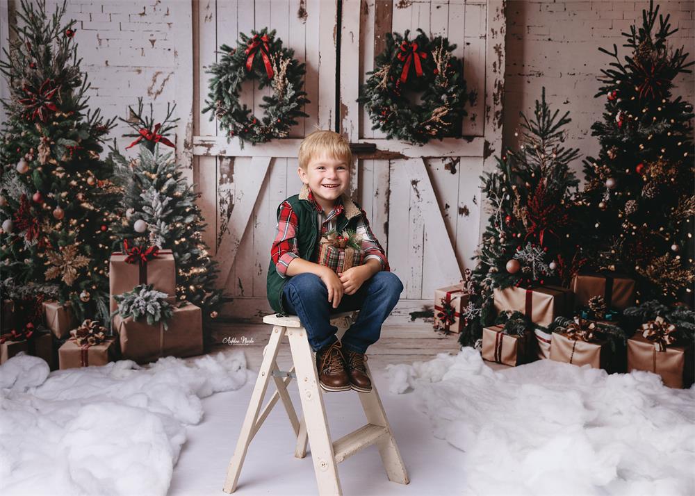 Kate Christmas White Shabby Barn Door Backdrop Designed by Emetselch