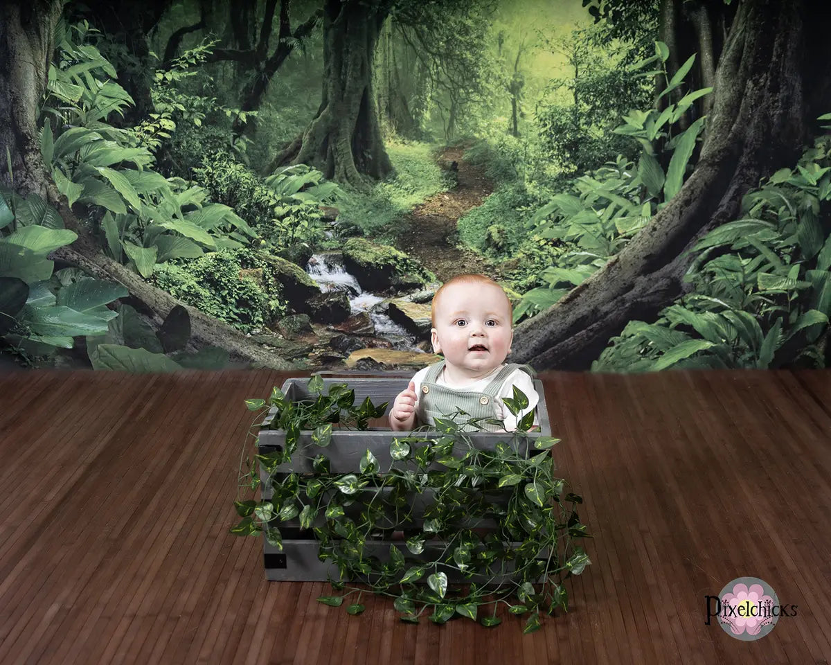 Kate Forest With Green Trees And Creek Spring for photography