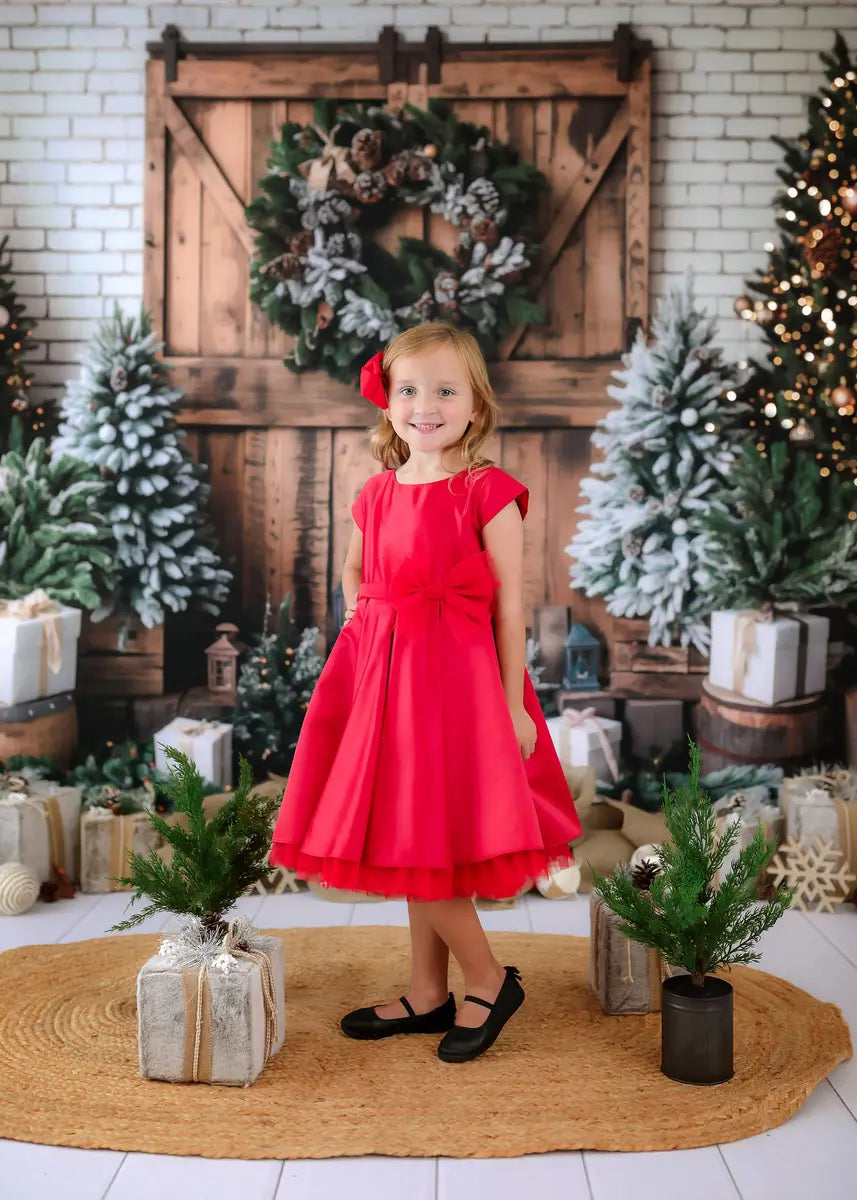 Kate Christmas Brown Wooden Barn Door Backdrop Designed by Emetselch