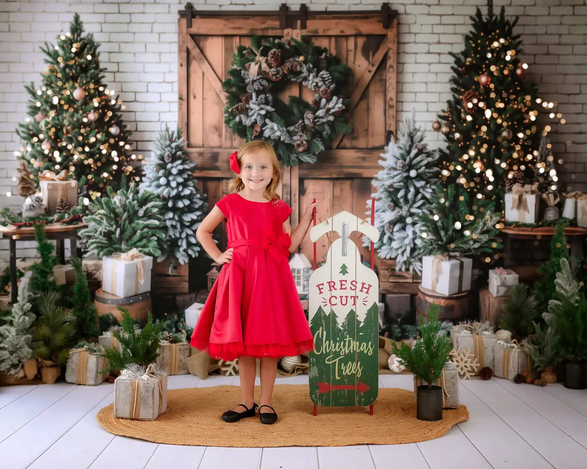 Kate Christmas Brown Wooden Barn Door Backdrop Designed by Emetselch