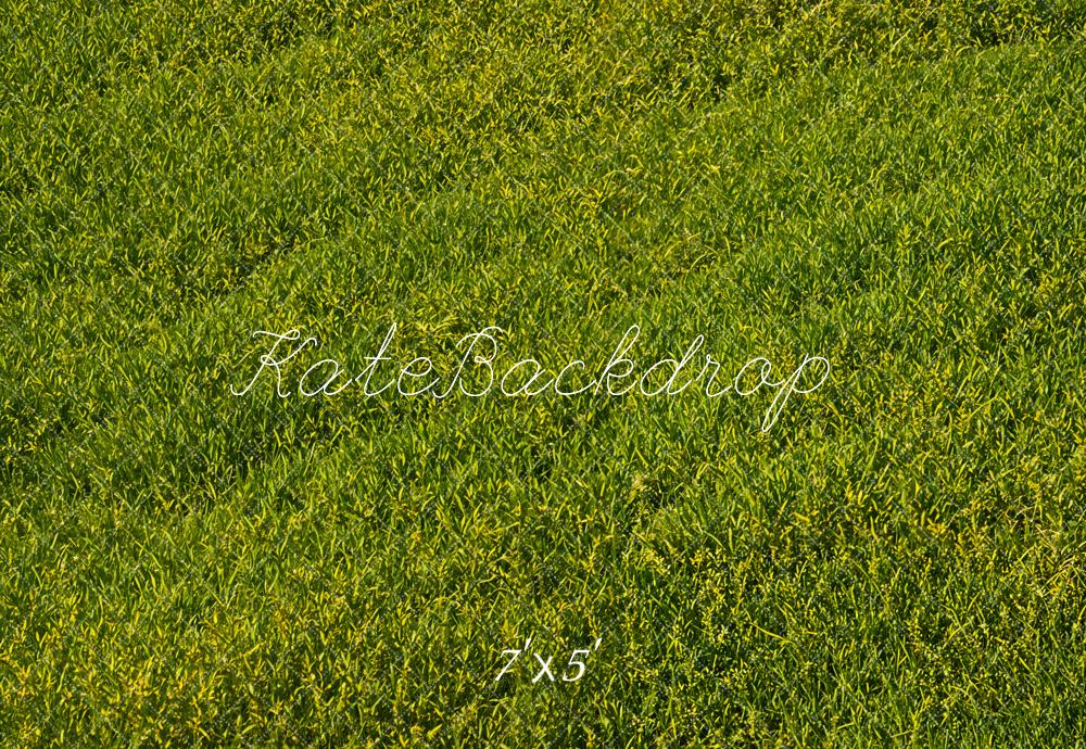 Kate Green Grass Field Floor Backdrop Designed by Emetselch