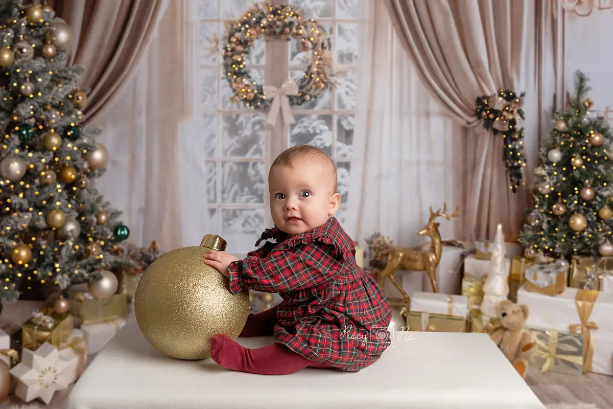 Kate Christmas Beige Curtain White Framed Window Backdrop Designed by Emetselch