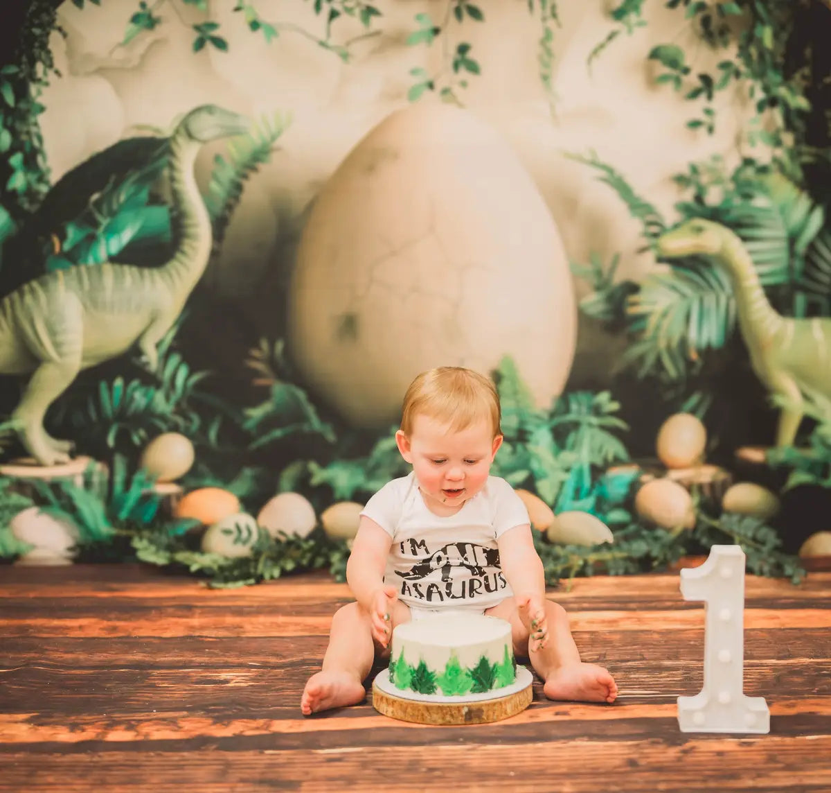 Kate Vintage Green Plant Dinosaur Hatching Eggs Brown Wooden Frame White Wall Backdrop Designed by Patty Robert