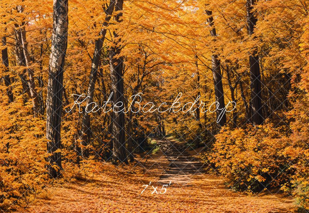 Fondo de sendero en el bosque de otoño diseñado por Emetselch