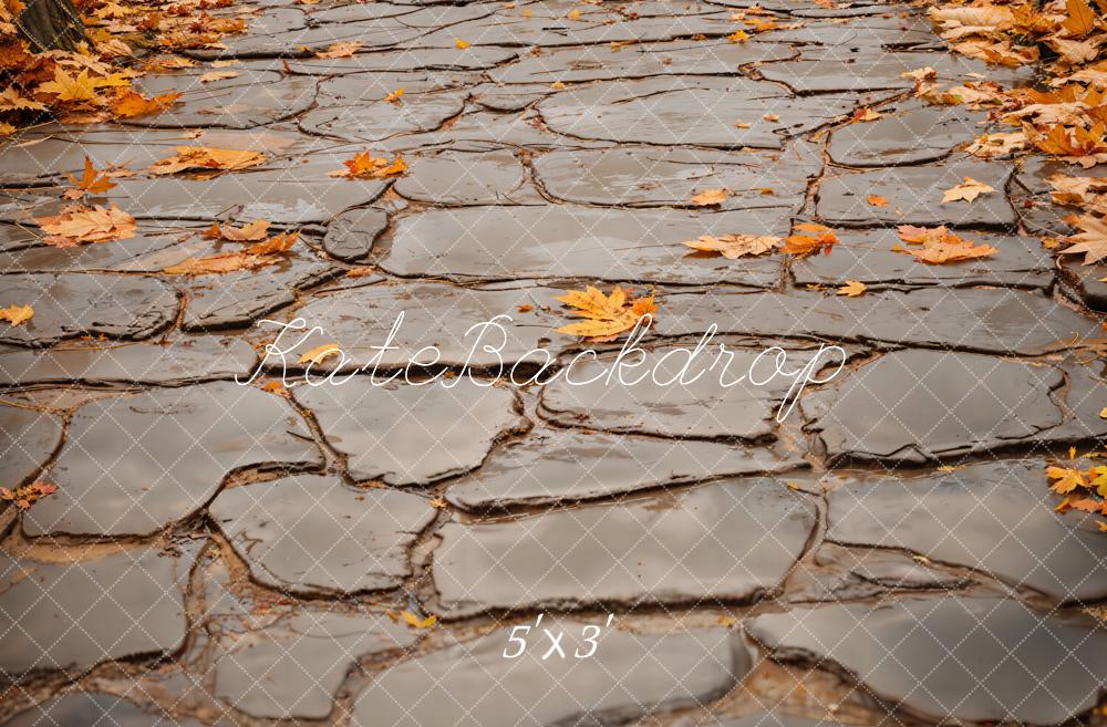 Kate Fall Leaves and Gray Cobblestone Road Floor Backdrop Designed by Emetselch