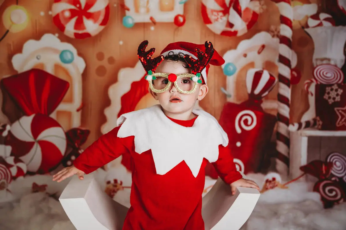 Kate Christmas Backdrop Gingerbread House Candy for Photography