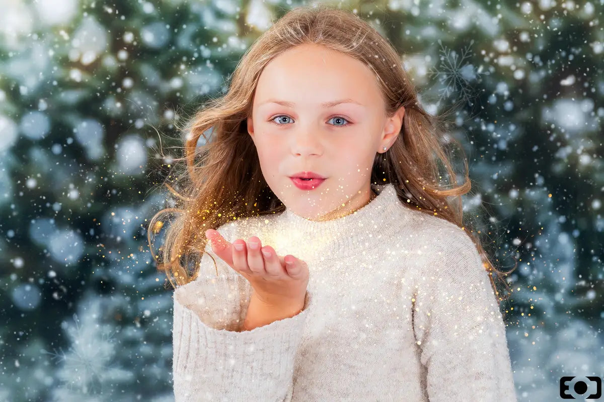 Fondo de luces de bosque nevado de Navidad para fotografía