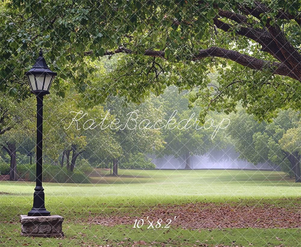 Kate Fine Art Park Fall Lamp Post Backdrop Designed by Mini MakeBelieve