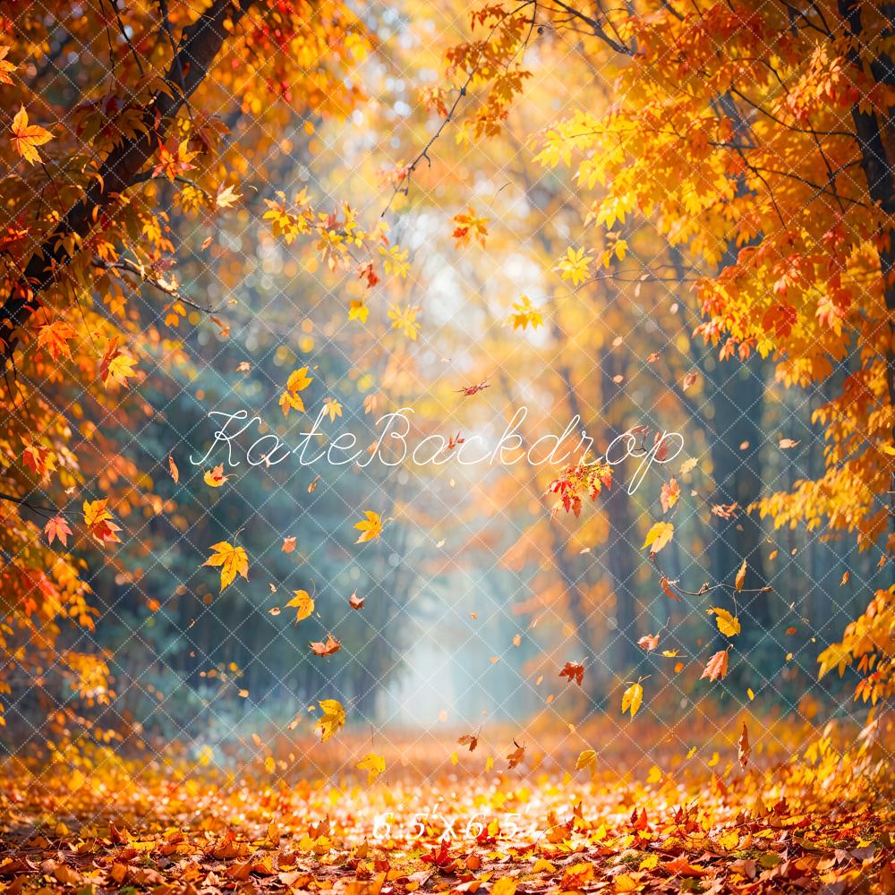 Autunno nel Bosco di Acero con Foglie Cadute Sfondo Progettato da Emetselch