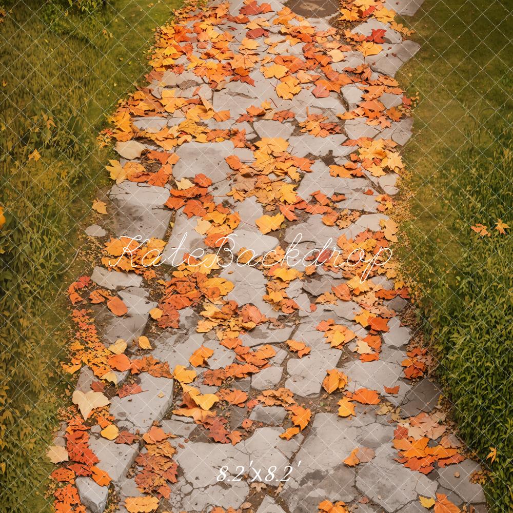 Kate Fall Leaves Pathway Cobblestone Floor Backdrop Designed by Emetselch