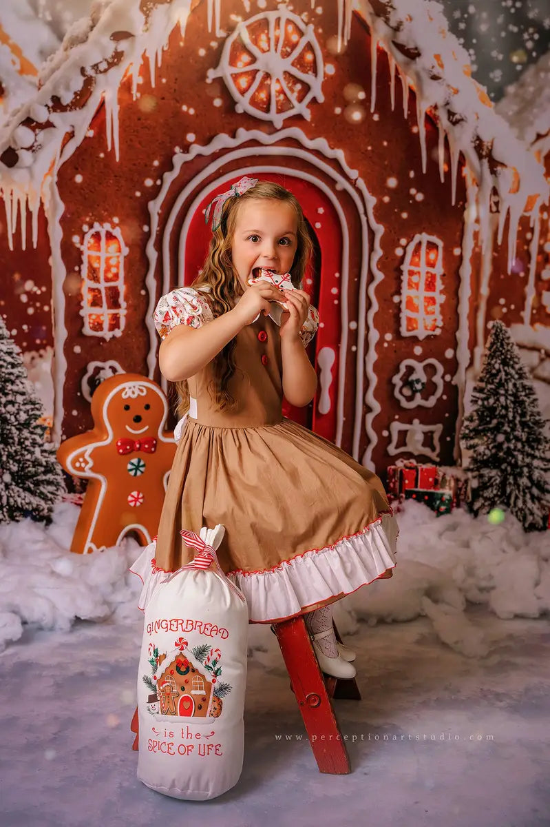 Kate Christmas Gingerbread Houses Snowy Backdrop Designed by Emetselch