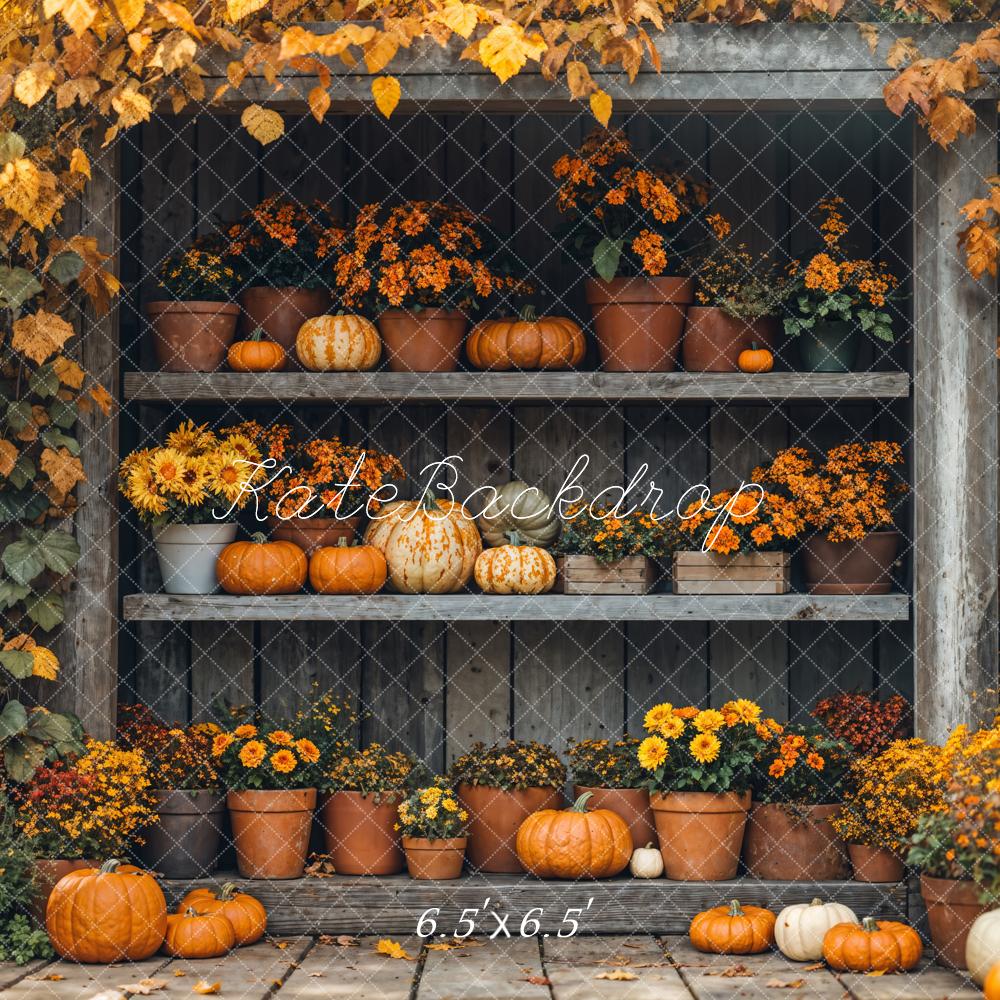 Fall Pumpkin Shelf Flowers Maple Backdrop Designed by Emetselch