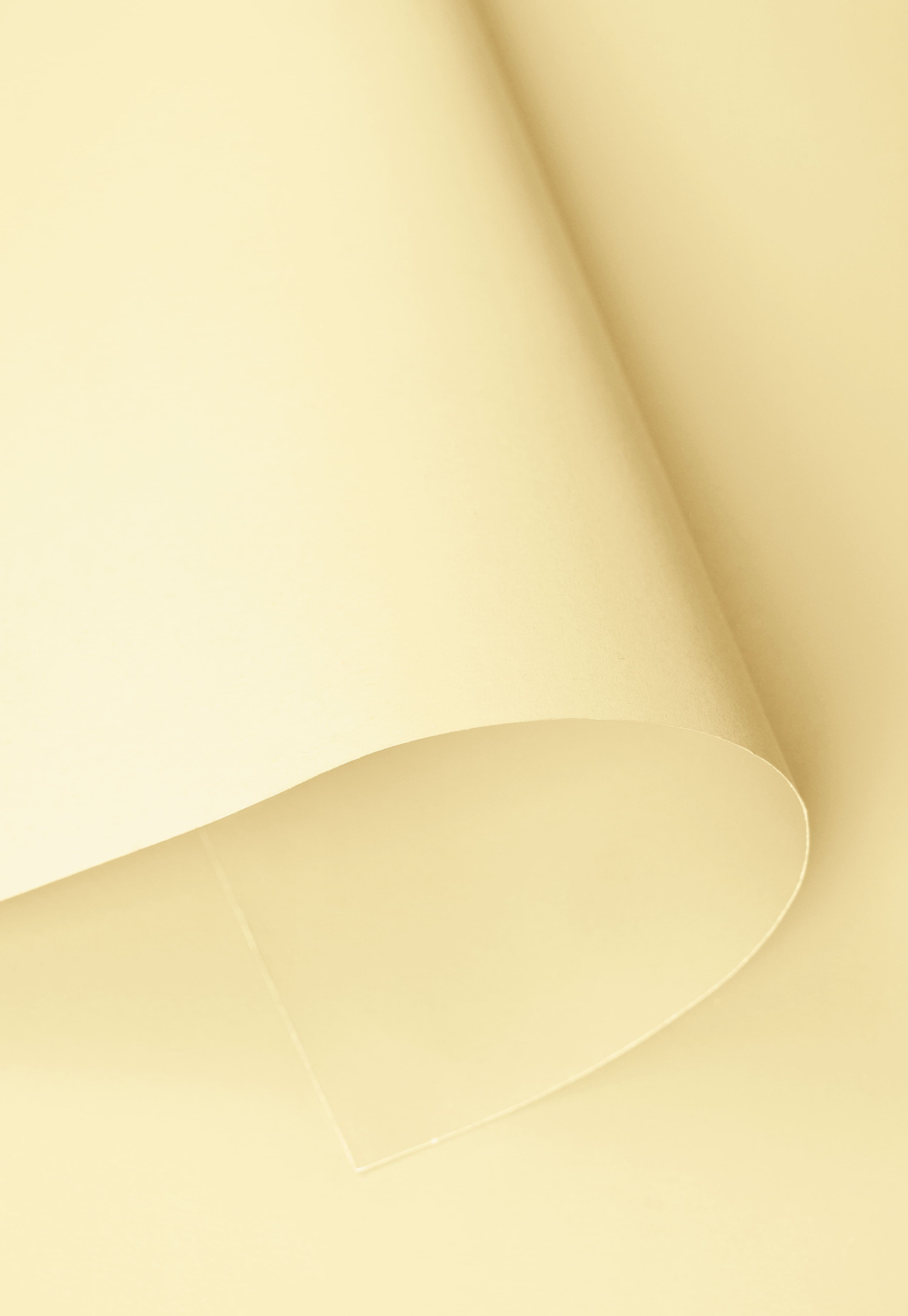 Kate Cream Yellow Seamless Paper Backdrop for Photography