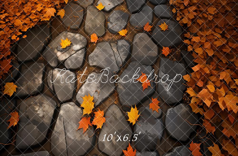 Kate Fall Maple Stone Path Floor Backdrop Designed by Kate Image