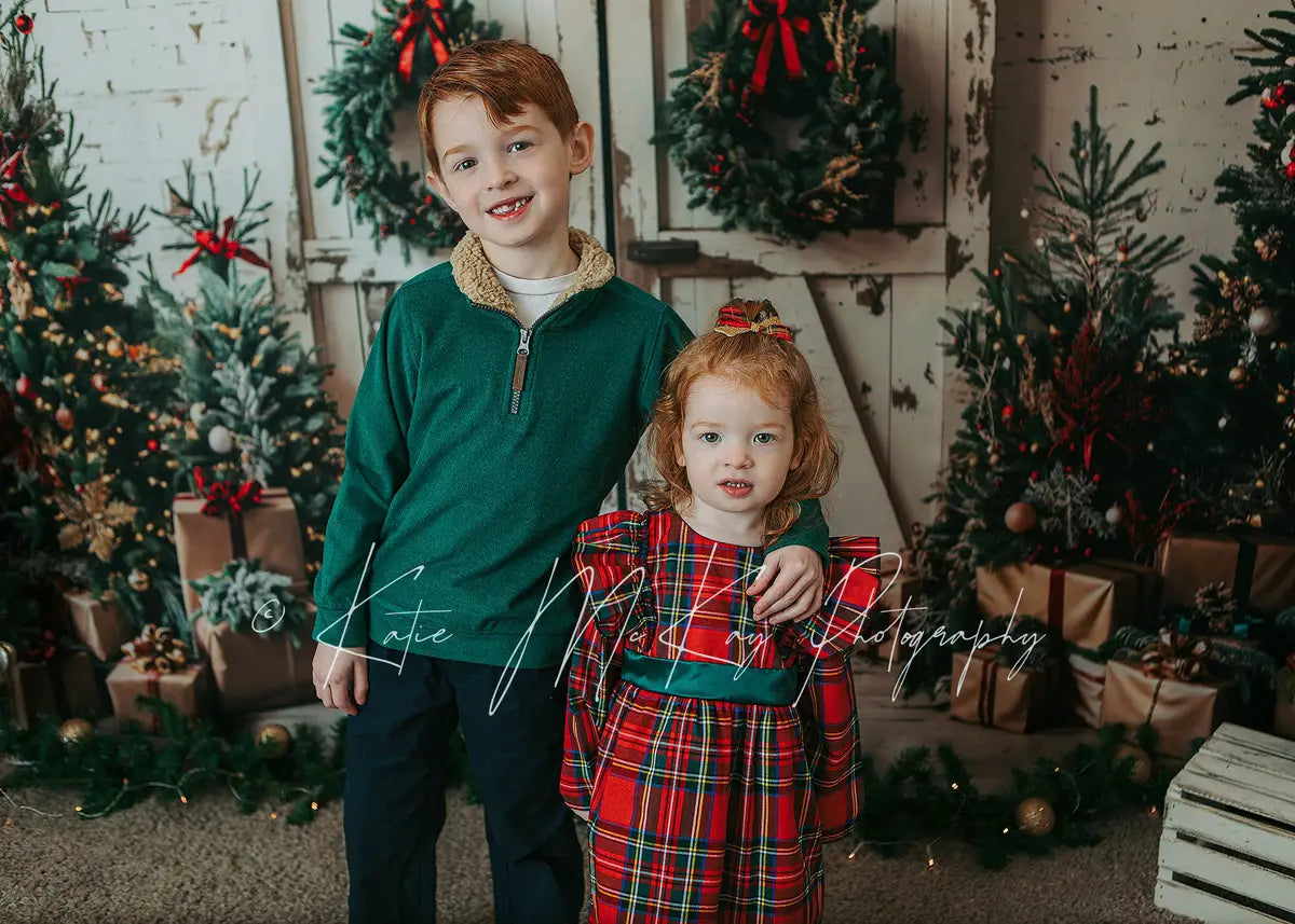 Kate Christmas White Shabby Barn Door Backdrop Designed by Emetselch