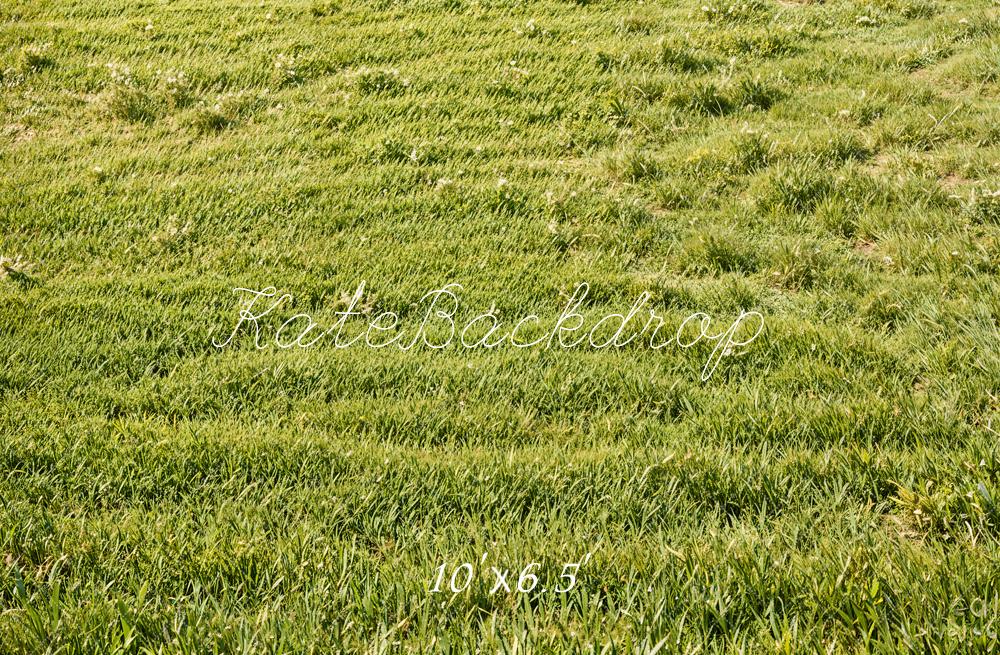 Kate Spring Green Grass Field Floor Backdrop Designed by Emetselch