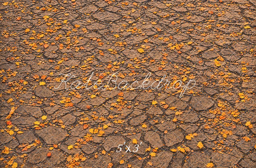 Kate Fall Fallen Leaves On Ground Backdrop Designed by Emetselch