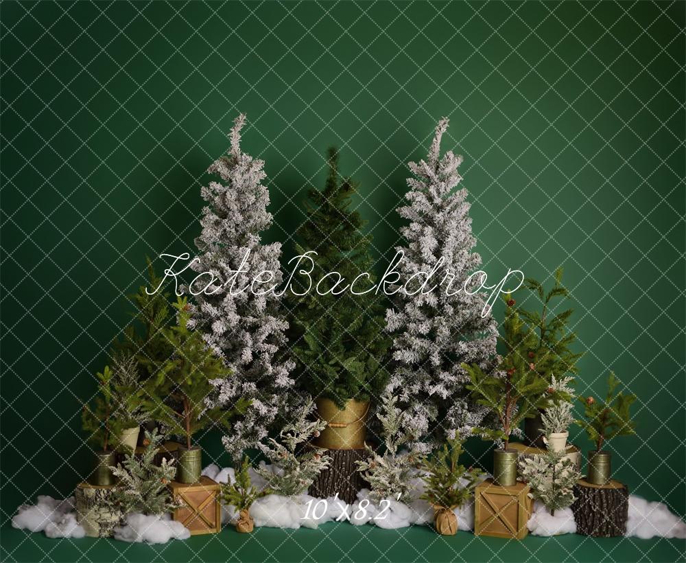 Winter Wonderland Kerstbomen Foto Achtergrond Designed by Mandy Ringe Photography